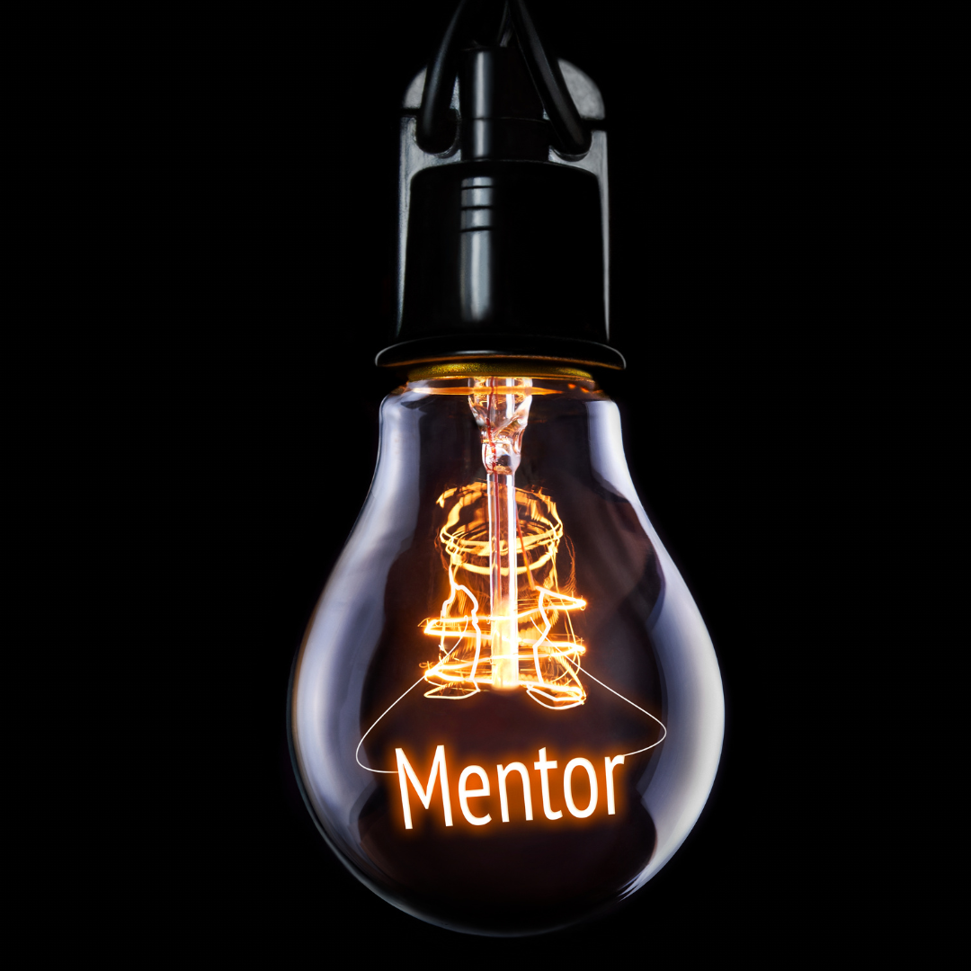 Do We Truly Require a MENTOR: The Power of Guided Growth